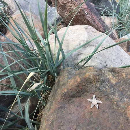 Haus Tanneck, Nr 9 *